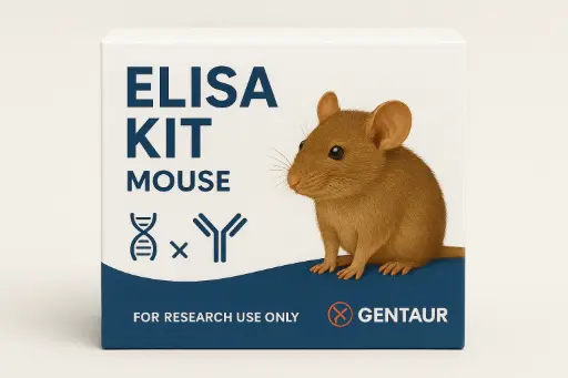 Human / Mouse