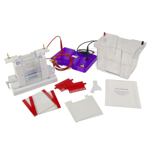 [Eletro3ks252] OmniPAGE Mini Dual Vertical Gel Electrophoresis Tank 10 x 10cm. Complete with, 2 Sets of Glass Plates, 1mm Thick Bonded Spacers, 2 x 12 Sample, 1mm Thick Combs, CLAMP VERSION